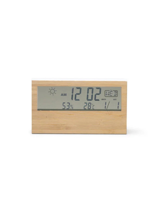 Petite station météo