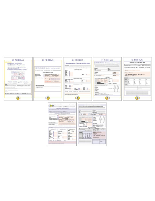 Lot de 7 supportS pédagogique fiche bilan 1000x650mm